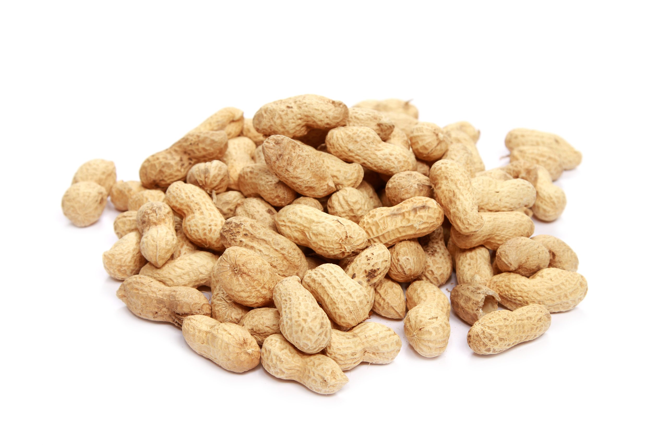 closeup shot unpeeled peanuts isolated white surface scaled